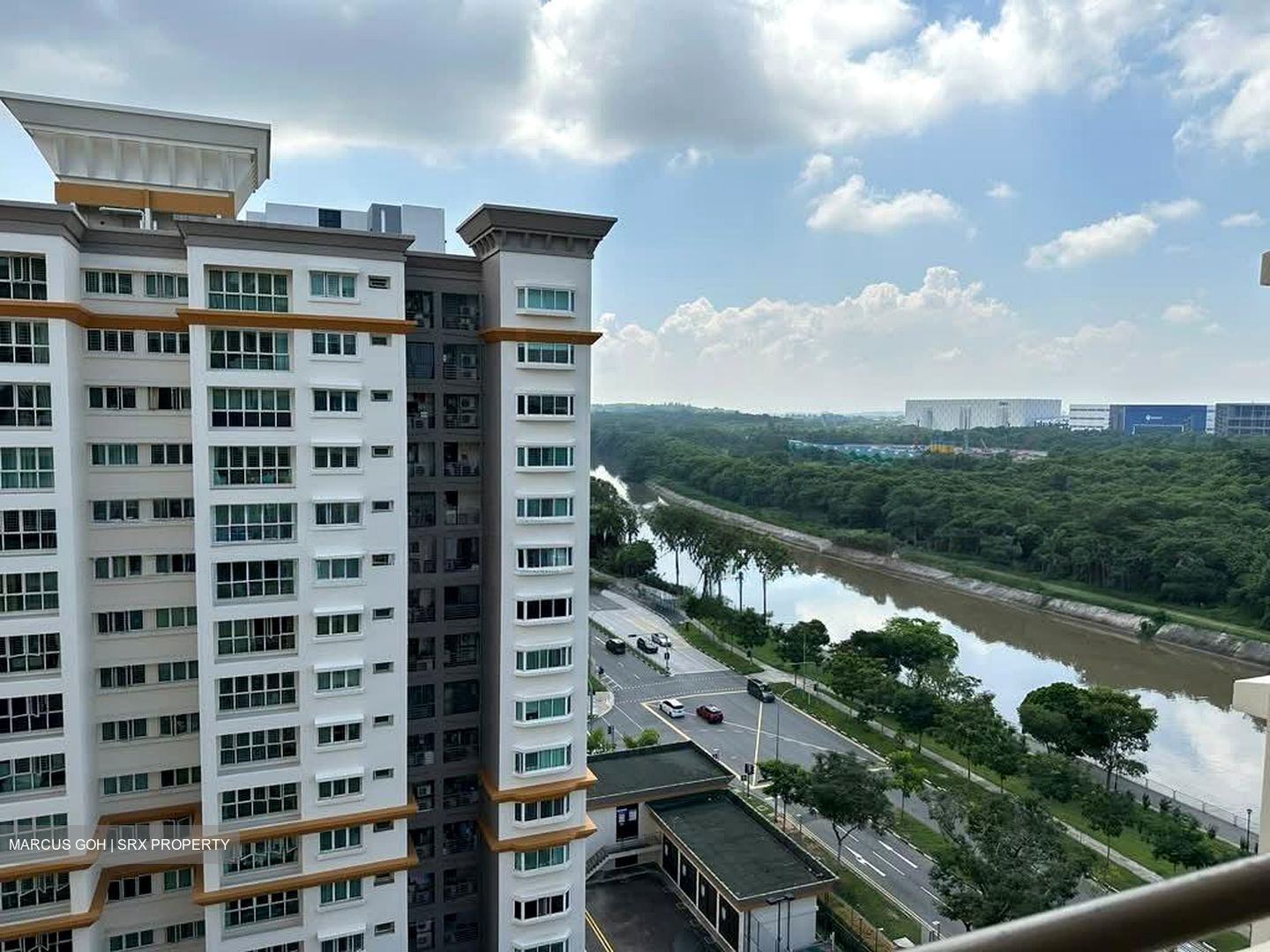 Evergreen Park (D19), Apartment #585606521